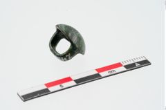 Foto von Bronzeniet (NHMW-PRAE-024382)